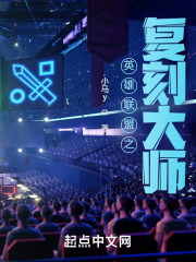 英雄联盟之复刻大师在线阅读