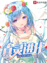 真灵进化在线阅读