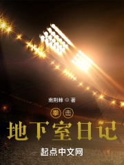 拳擊：地下室日記在線閱讀
