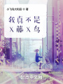 我真不是X藤X鸟在线阅读