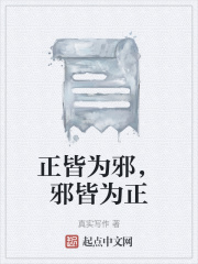正皆為邪，邪皆為正在線閱讀