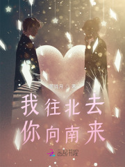 我往北去，你向南來在線閱讀