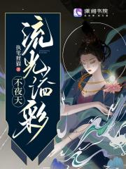 流光溢彩不夜天在線閱讀