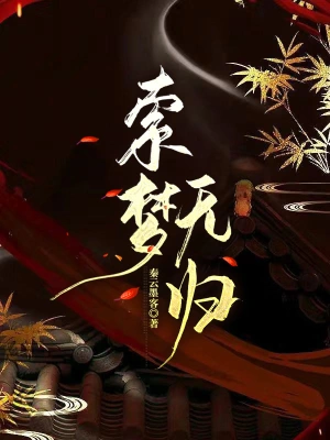 索梦无归