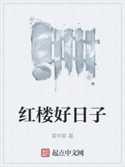 紅樓好日子在線閱讀