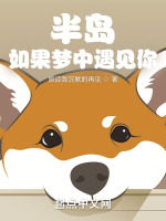 半岛：如果梦中遇见你在线阅读