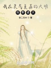 我在靈氣復(fù)蘇的大明投影諸天！在線閱讀
