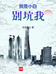 我是小白别坑我在线阅读