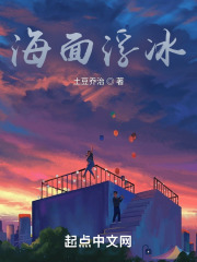 海面浮冰在线阅读