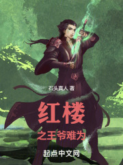 紅樓之王爺難為在線閱讀