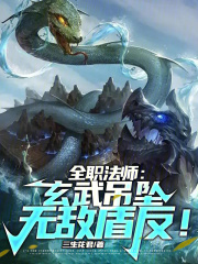 全職法師：玄武吊墜，無敵盾反！在線閱讀