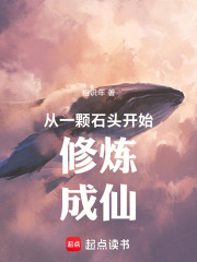 從一顆石頭開始修煉成仙在線閱讀