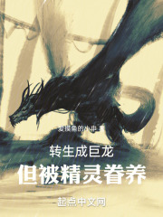 轉(zhuǎn)生成巨龍，但被精靈眷養(yǎng)在線閱讀