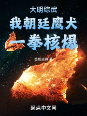大明綜武：我朝廷鷹犬，一拳核爆在線閱讀