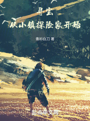 尋寶：從小鎮(zhèn)探險(xiǎn)家開始在線閱讀