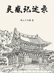 靈感記述錄在線閱讀