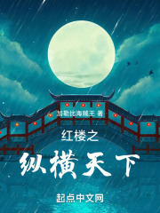 紅樓之縱橫天下在線閱讀