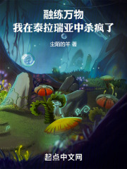 融練萬物，我在泰拉瑞亞中殺瘋了在線閱讀