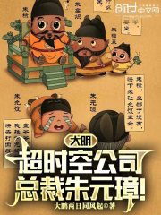 大明超時空公司，總裁朱元璋！在線閱讀