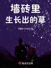 墻磚里生長出的草在線閱讀