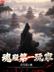 魂殿第一玩家在線閱讀