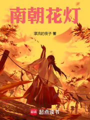 南朝花燈在線閱讀