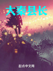 大秦縣長在線閱讀