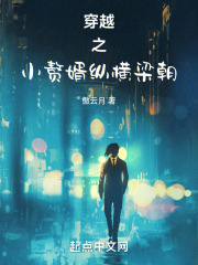 穿越之小赘婿纵横梁朝