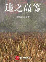 違之高等在線閱讀