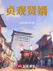 貞觀賢婿在線閱讀