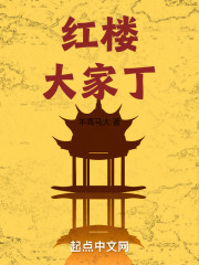 紅樓大家丁在線閱讀