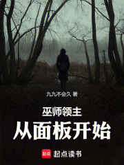 巫師領主：從面板開始在線閱讀