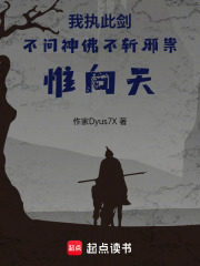 我執(zhí)此劍不問神佛不斬邪祟惟向天在線閱讀