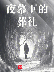 夜幕下的葬禮在線閱讀