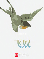 飛奴在線(xiàn)閱讀