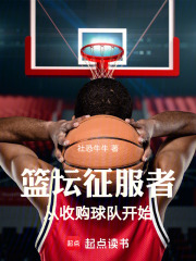 籃壇征服者：從收購球隊開始在線閱讀
