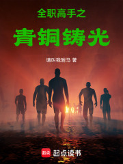 全職高手之青銅鑄光在線閱讀