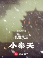亂世風云小奉天在線閱讀