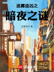 迷霧追兇之暗夜之謎在線閱讀