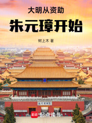 大明從資助朱元璋開始在線閱讀