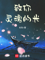 致你靈魂的光在線閱讀