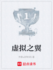 虛擬之翼在線閱讀