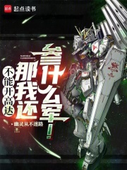 不能開高達那我還參什么軍！在線閱讀