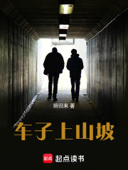車子上山坡在線閱讀