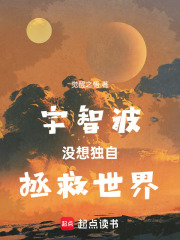 宇智波沒想獨自拯救世界在線閱讀