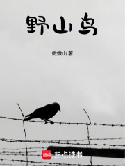 野山鳥在線閱讀