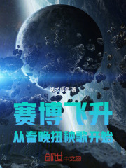 賽博飛升：從春晚扭秧歌開始在線閱讀