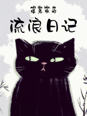 煤老板的流浪日記在線閱讀