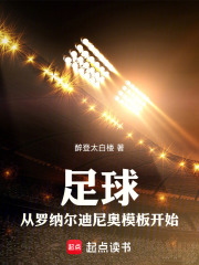 足球：從羅納爾迪尼奧模板開始在線閱讀