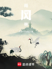 雨風(fēng)林在線閱讀